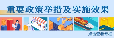 重要政策舉措及實(shí)施效果